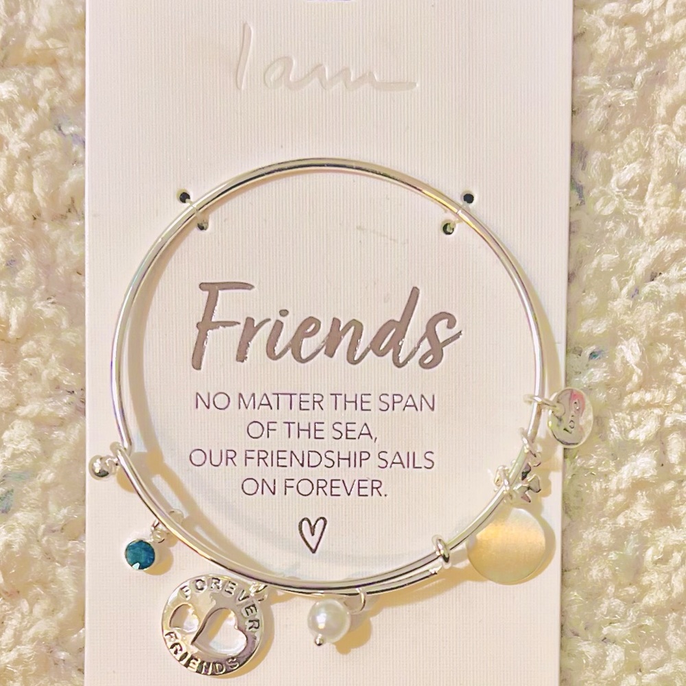 Beautiful Silver “Friendship” Bracelet w/ several charms, gems, pearls, …